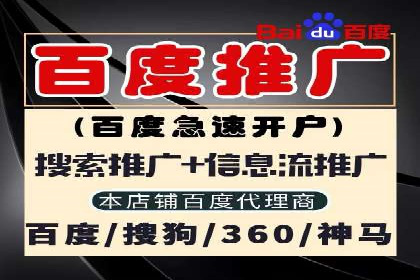 SEM广告投放的预算分配与效果评估——以某企业为例
